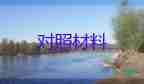 小學(xué)新時代好少年事跡材料范文1500字7篇
