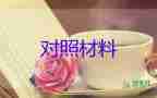 關(guān)于個人自查報告的范文5篇