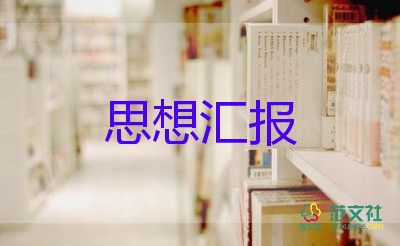 項目管理匯報總結(jié)5篇