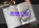 入前的思想?yún)R報2023年度最新8篇
