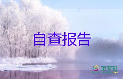 銷售個人辭職報告5篇
