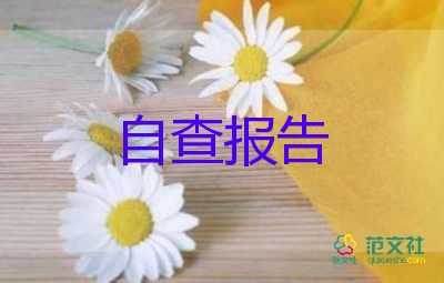 生產(chǎn)許可自查報告7篇