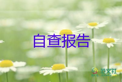 個(gè)人銷售自我鑒定精選7篇
