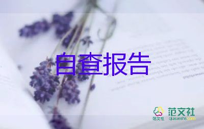 有關(guān)兼職的調(diào)查報(bào)告8篇