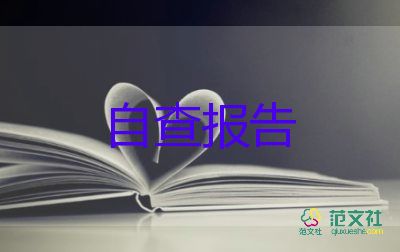 2022財務(wù)自查報告熱門7篇