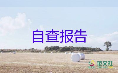 保安實踐報告5篇