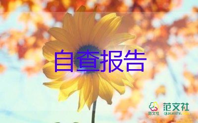 醫(yī)院醫(yī)療安全自查報(bào)告7篇