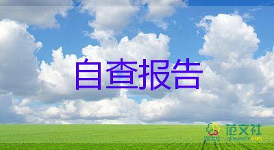 個人年度客服總結報告7篇
