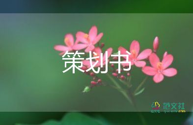 實用版關于圣誕節(jié)活動的策劃方案3篇