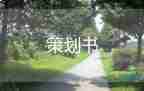 大型活動(dòng)策劃方案7篇