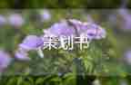 微創(chuàng)業(yè)方案模板6篇