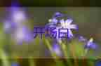 陽春三月活動(dòng)開場(chǎng)白最新范文5篇