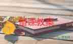 六年級橋的教案6篇