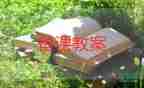 人教版一年級(jí)語文上冊(cè)教案5篇