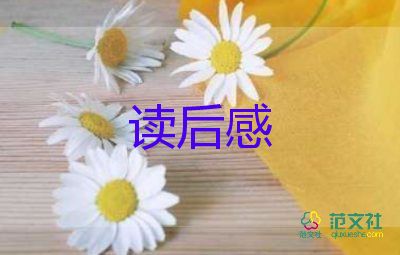 湯姆索亞歷險記讀后感500字左右范文10篇