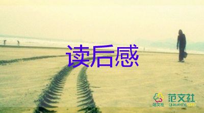 孤獨的小螃蟹貓讀后感6篇