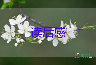 西西游記讀后感300字精選6篇