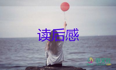 小布頭的夢讀后感8篇