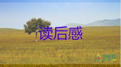 牽駱駝的人讀后感100字模板6篇