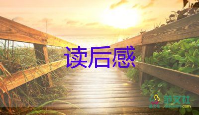 關(guān)于《撒哈拉的故事》讀后感優(yōu)秀范文4篇
