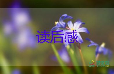 真實的高度讀后感6篇
