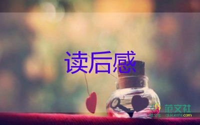 假老虎的讀后感推薦8篇