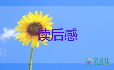精選關(guān)于《撒哈拉的故事》讀后感參考范文4篇
