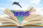 長翅膀的書讀后感模板5篇