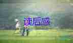 給孩子的詩(shī)讀后感500字8篇