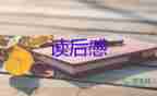 電影鐵道飛虎觀后感參考范文3篇