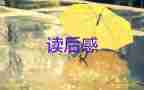 死讀書(shū)活讀書(shū)的讀后感5篇