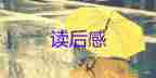 橋的閱讀后感優(yōu)秀5篇