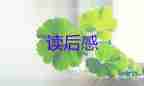 魚(yú)姑娘的讀后感最新5篇