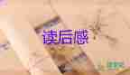 消防電影《烈火英雄》觀后感精選范文3篇