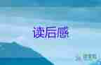 關(guān)于《中國詩詞大會(huì)》觀后感通用范文3篇