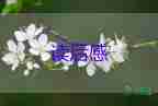 西西游記讀后感300字精選6篇