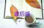 最新關(guān)于《中國詩詞大會(huì)》觀后感參考范文3篇