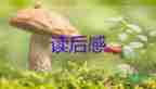 四大名著的讀后感精選7篇