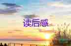 瑣記的讀后感最新5篇
