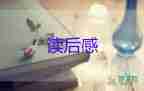 守護(hù)青蘋果觀后感7篇