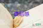 貓媽媽讀后感優(yōu)秀5篇