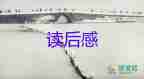 微電影《畫(huà)》讀后感精選5篇