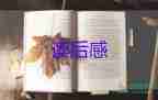 讀《論語》的讀后感優(yōu)質7篇