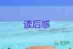 木偶奇遇奇遇記讀后感精選8篇