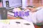 《愛的》讀后感精選8篇