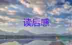 刺讀后感300字最新5篇