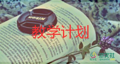 藏雞教學反思5篇