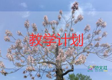 由內(nèi)到外分類教學反思優(yōu)質(zhì)5篇