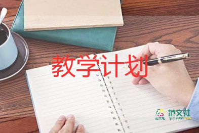 地理組教學(xué)計(jì)劃精選7篇