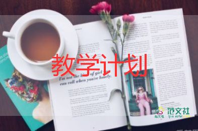 物理教學(xué)工作總結(jié)精選6篇